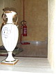 Plants: image 34 0f 100thumb