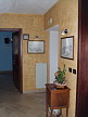 Plants: image 35 0f 100thumb