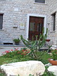 Plants: image 39 0f 100thumb