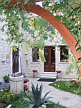 Plants: image 41 0f 100thumb