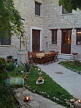 Plants: image 70 0f 100thumb